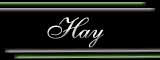 Hay For Sale