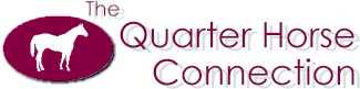 Quarter Horse Connection